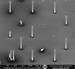 core shell nanowires