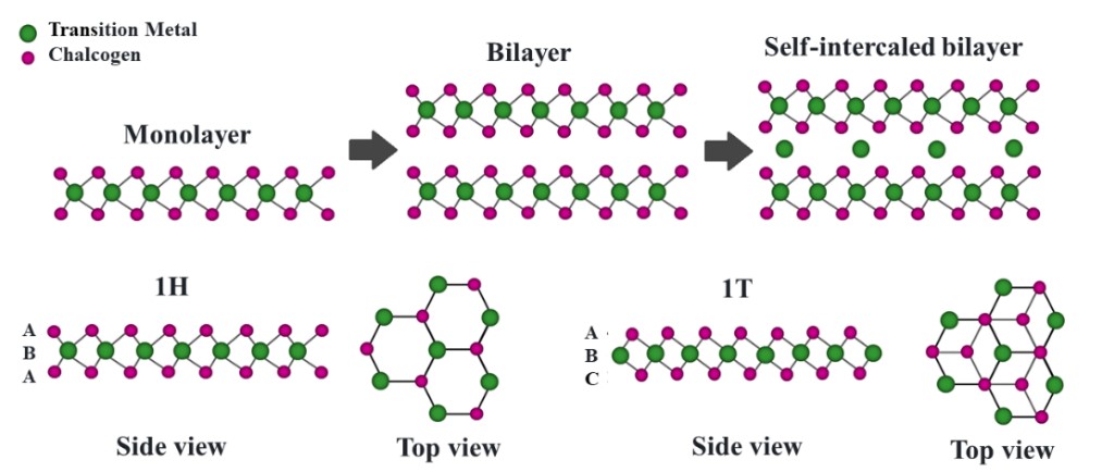 phase_engineering