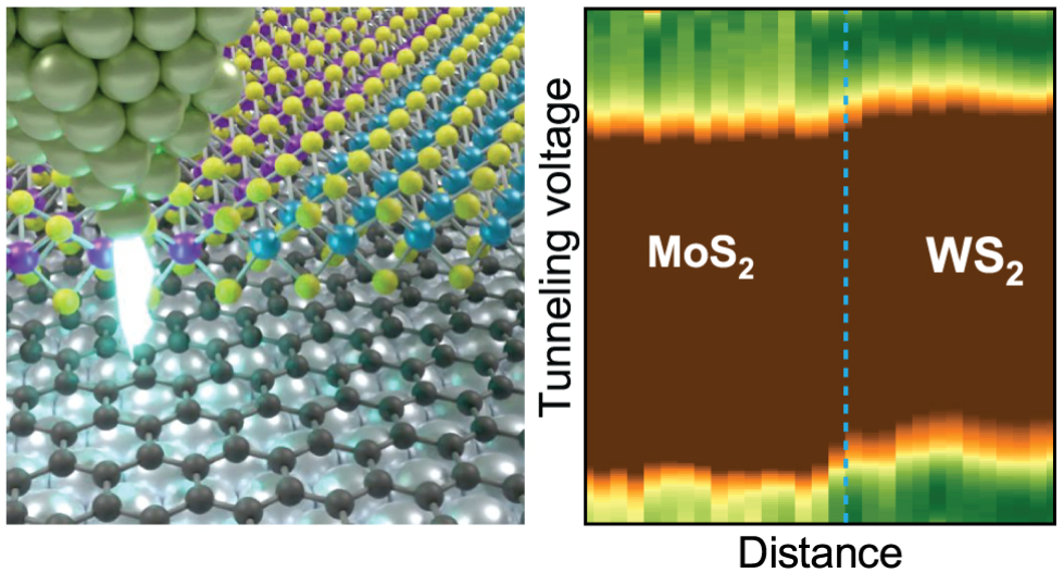 MoS2_heterostructure